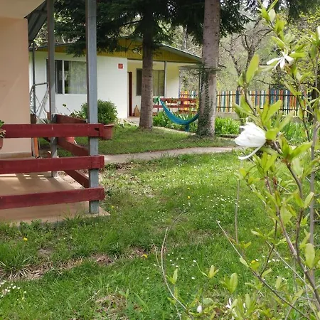 Rainbow * Cherni Osum